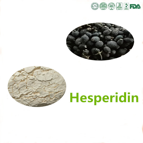Quality CAS 520-26-3 Hesperidin Powder Citrus Sinensis Extracts Health Food Field use for sale