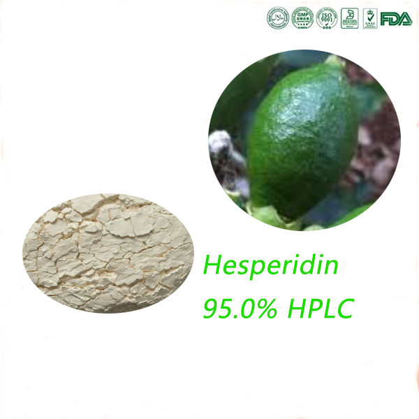 Quality CAS 520-26-3 Hesperidin 95.0% Powder Treating Venous Insuficiency And Hemorrhoids for sale