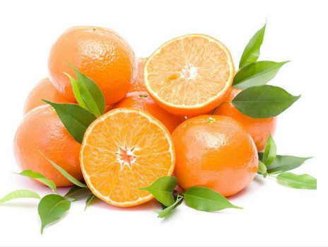 Quality Anti Oxidant And Anti bacterial Citrus Extract Powder Diosmetin Applied In for sale