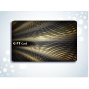 hitag1/2/s2048 125hz contactless plastic gift rfid payment card