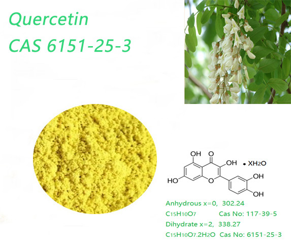 Quality Pure Common And Granular Organic Quercetin Powder Anhydrous Anti Aging for sale