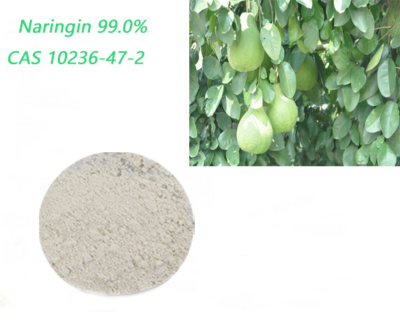 Quality Intermediate Naringin Extract White Powder for Naringenin Materials for sale