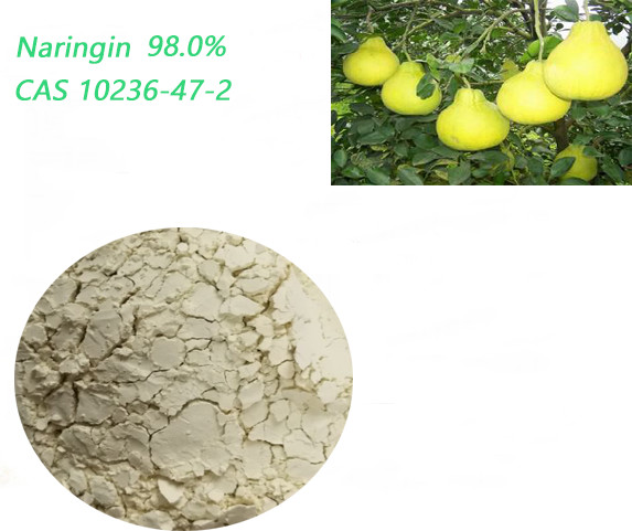 Quality Natural Citrus Aurantium Powder Naringin Extract Light Yellow In Nutritional Supplements for sale