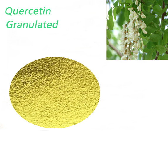 Quality Quercetin Dihydrate Granular No Irradiation Powder Used In Nutraceuticals for sale