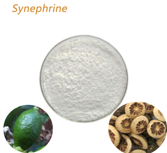 Quality Dietary Supplements Paradisi Extract Synephrine Powder Promoting Weight Loss for sale