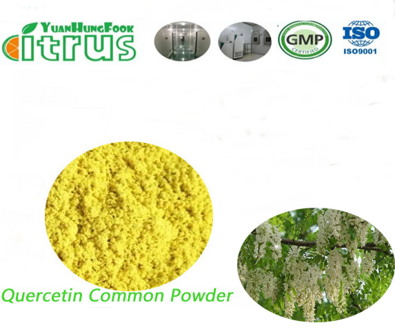 Quality Activated Organic Quercetin Powder 95.0% HPLC Yellow Powder For Allergies for sale