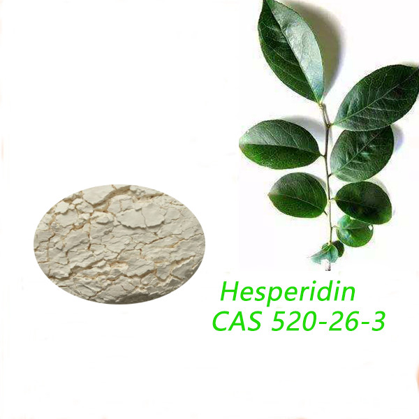 Quality Pharmaceutical Grade Hesperidin Powder CAS 520-26-3 In Combination With Diosmin for sale