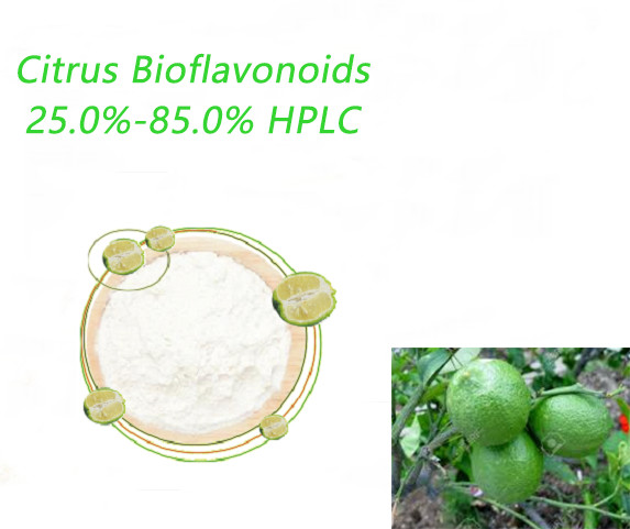 Quality Pharma Citrus Extract Powder Citrus Bioflavonoids Extract Powder Protecting Blood Vessel for sale