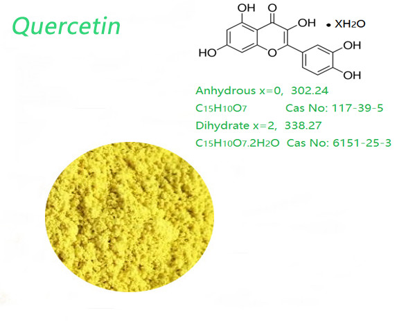 Quality Dihydrate 95.0% HPLC Yellow Organic Quercetin Powder Weight Loss use for sale