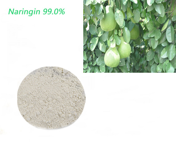 Quality Functional Bittering Agent Grapefruit Naringin Powder In Nutraceuticals for sale