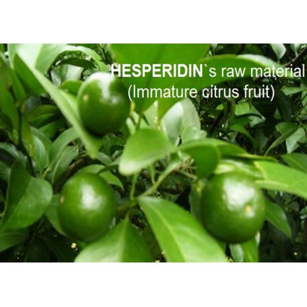Quality Citrus Sinensis Extract Hesperidin Powder 85.0%-97.0% By HPLC For Pharmaceutical and supplements for sale