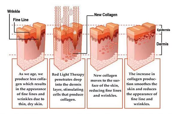 China (Therapy Tube Led Light)Elite Grow Led Therapy Light Red Led Tube For Solarium Skin Whitening Rejuvenation factory