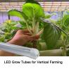China (t8 Tube Type)led Grow Tube Elite Grow 600mm 900mm 1200mm 1500mm 3ft 4ft 5ft Indoor Vegetables Cultivation factory
