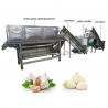 China Automatic Garlic bulb breaking machine / Garlic peeler skin removing machine /Garlic peeling machine factory