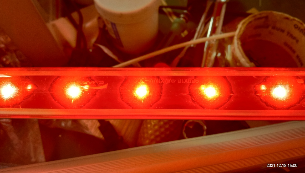 China (Therapy Led) 1200mm 1800mm 2000mm Elite Grow Led Therapy Light Red Led Tube For Solarium Skin Whitening Rejuvenation factory