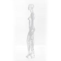 China Modern clear mannequins female full body mannequin trend walking transparent female mannequins factory