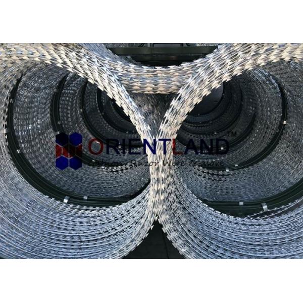 Quality Concertina Razor Wire Fence For Rapid Deployment System 2.5mm Diameter Triple for sale
