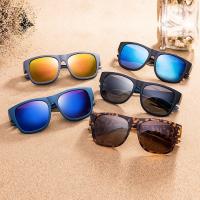 China Polarized Lifestyle Sunglasses With 100% UV Protection Polycarbonate Frame Sunglasses factory