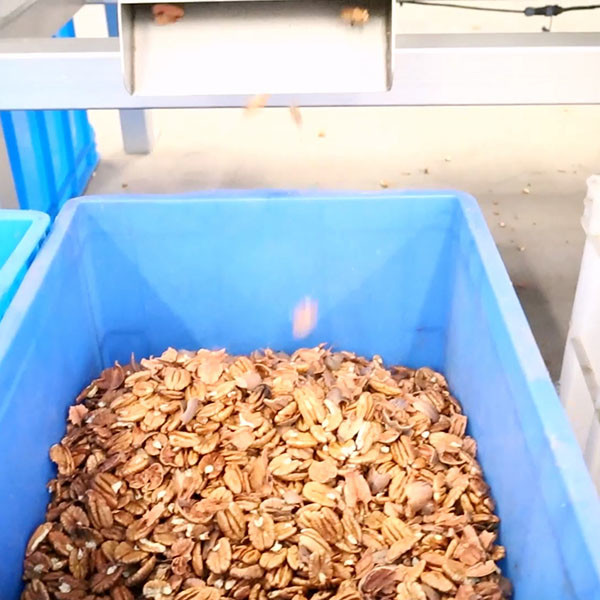 Quality CE Certified Dry Cracking Pecan Shelling Machine 100000 Nuts Capacity 220V for sale