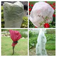 China Garden Plant Protection Bag Polypropylene Non Woven Fabric Breathable factory