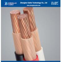 China 0.6/1kv 4 Core Low Voltage Cable For Power Transmission CU XLPE PVC 25mm factory