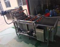 China dates washing drying grading machine, dates sorting machine, cherry grader factory