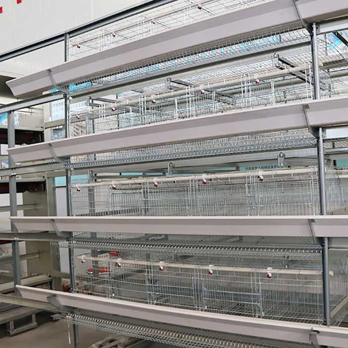 China Stable Running Poultry Layer Cage , Automatic Control Chicken Coop Cage factory