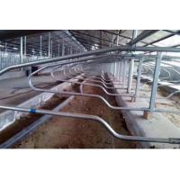 China Customized Q235 Steel Agriculture Farm Cow Free Stall for sale