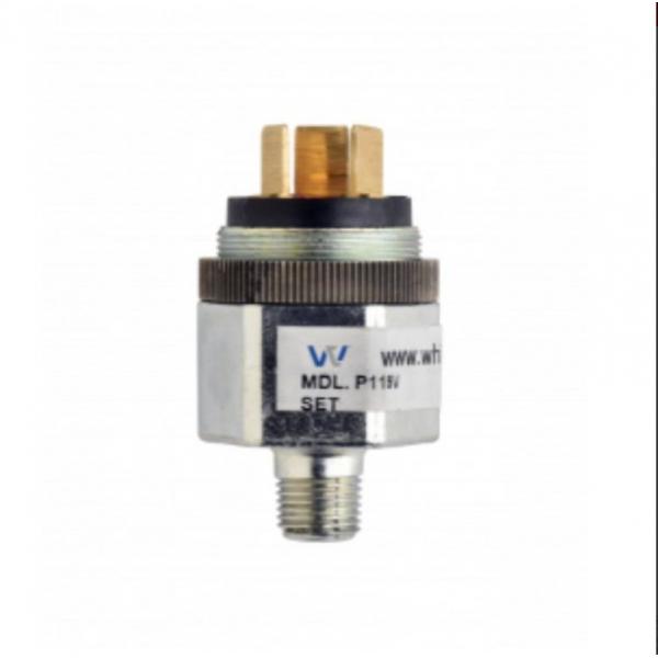 Quality P V Miniature Float Level Switch 5 Amps P119G-10H-C12L Whitman Controls Pressure Switches for sale
