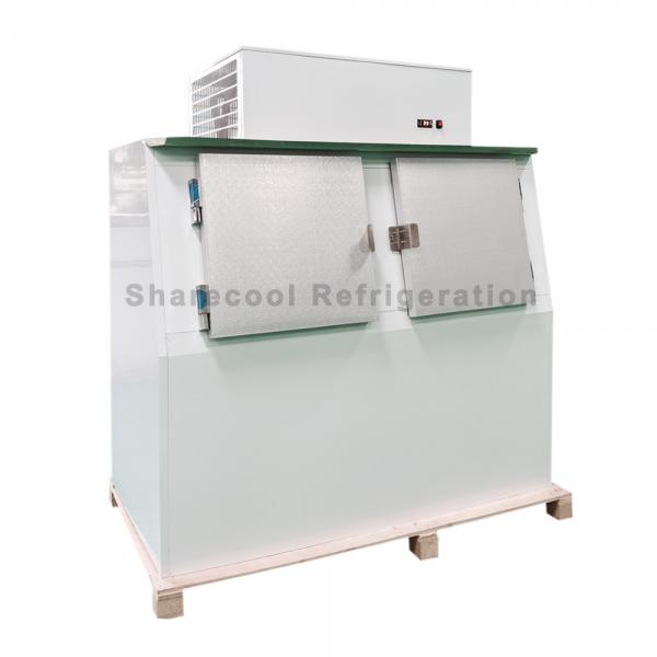 Quality 110V 60Hz Outdoor Cold Wall Ice Merchandiser Bagged Ice Storage Freezer for sale