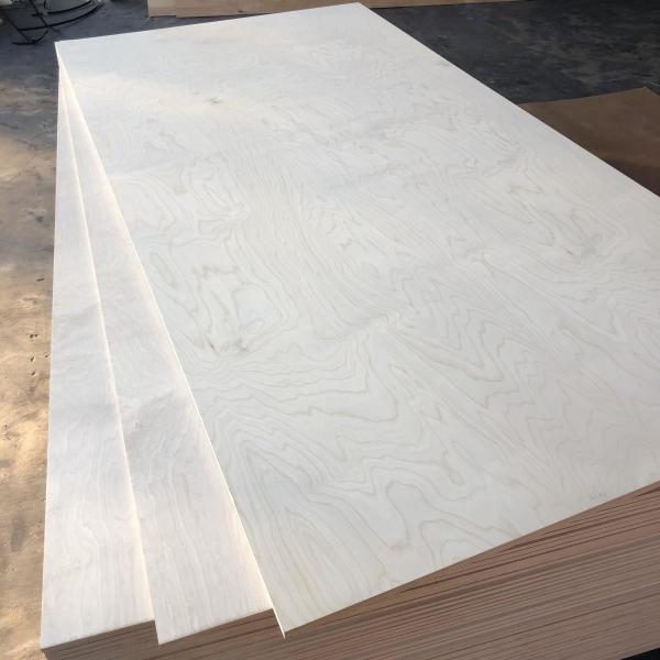 Quality Cabinets Hardwood Veneer Plywood Durable With Phenolic Adhesive for sale