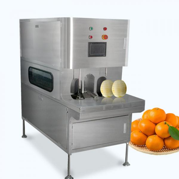 Quality Customized Fruit And Vegetable Processing Equipment With Touch Screen for sale
