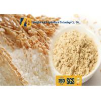 China Non Allergen Lactose Free Rice Protein Nutrition For Healthy Food Addictive factory