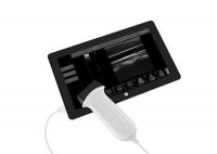 Buy cheap Portable Ultrasound Unit Portable Ultrasound Scanner 4 Types of Probes Available from wholesalers