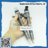 China 0445 110 317 fuel injector, Bosch common rail injector 0 445 110 317, diesel fuel injection for sale
