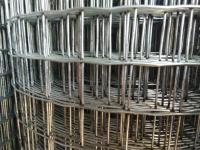 China 3/4'' Mesh 1.2m * 25m Chicken Galvanised Welded Wire Mesh Fencing for Iraq Market factory