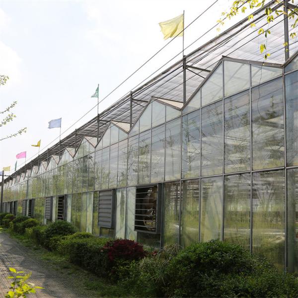 Quality Multispan Metal Frame Venlo Glass Greenhouse With High Durability for sale