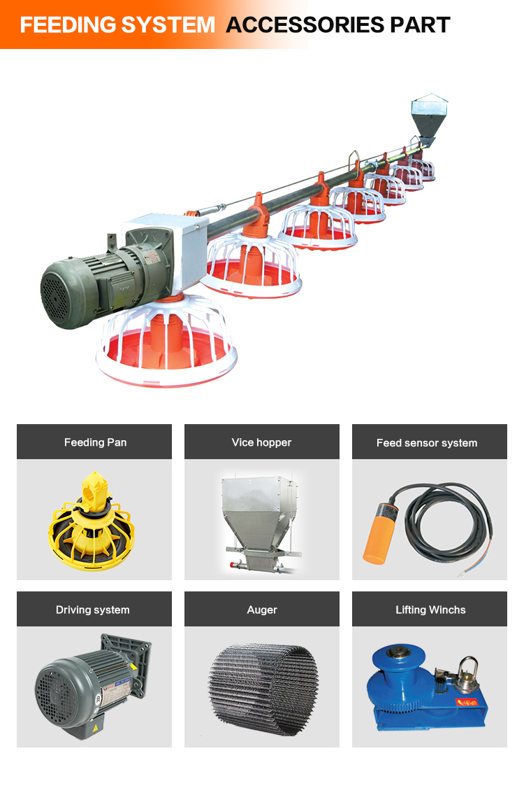 Automatic feeding pan for Animal & Poultry Husbandry Equipment 11