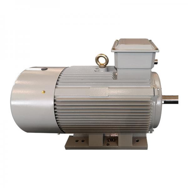 Quality 75kW 110kw 4 Pole Low Voltage Induction Motor 380V 180L For Boat for sale