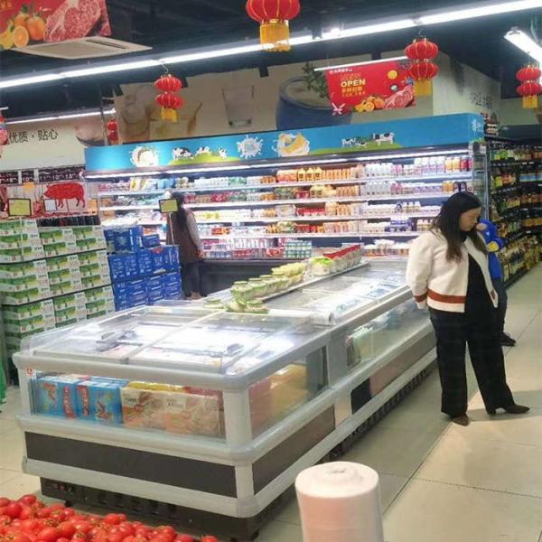 Quality 440L Supermarket Refrigeration Equipments For Frozen Food for sale