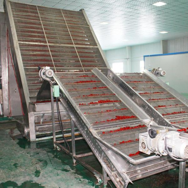 Quality Low Noise SS304 Belt Drying Equipment For Drying Fruits And Vegetables for sale