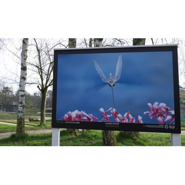 Quality P4mm Outdoor Led Video Walls IP65 Advertising Screen Display 62500 Dots/ M2 CCC for sale
