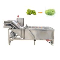 China Olive Pepper Washing Machine Italian factory