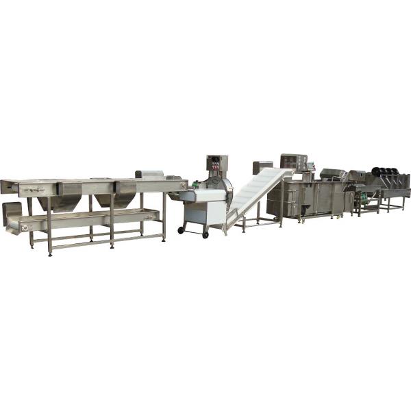 Quality Mushrooms Salad Processing Line / Vegetable And Fruit Washing Equipment for sale