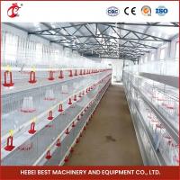 China Hot Galvanized Automatic Pullet Baby Chick Brooder Cage 192 Birds 1.2m Length Mia for sale