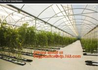 China 100% new HDPE insect mesh / anti bird net for apple trees,greenhouse anti insect net for plant, agriculture net Anti-ins factory
