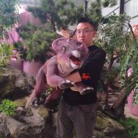 China Stage Show Small Dinosaur Hand Puppet Of Protoceratops factory
