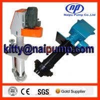 China Gold Mine Grinding Area Sump Pumps 100RV-SP for sale