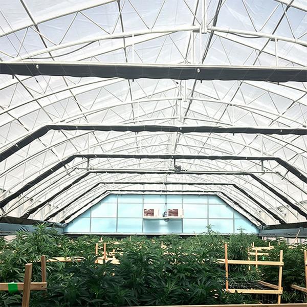 Quality 100% Shading System Automatic System Polycarbonate Single Span Light Dep Greenhouse With Rolling Blackout for sale