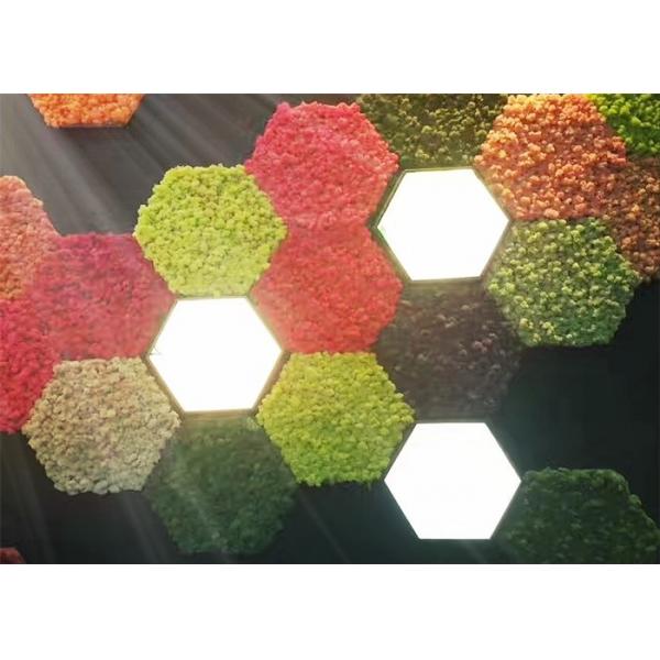 Quality Nature Moss 3d Acoustic Wall Panels For Walls Green Plant Decoration Mildew Proof for sale